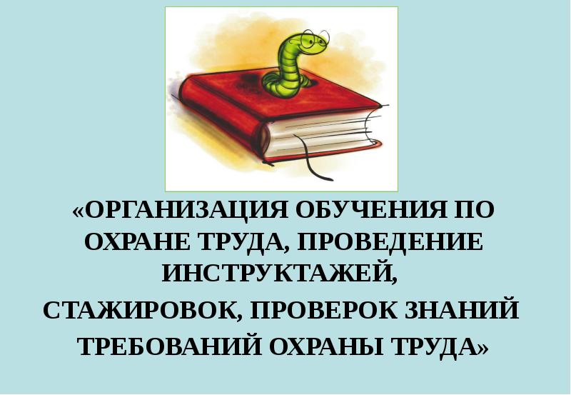 Реферат: Организация обучения и инструктажей по охране труда