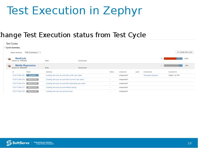 Test Execution in Zephyr