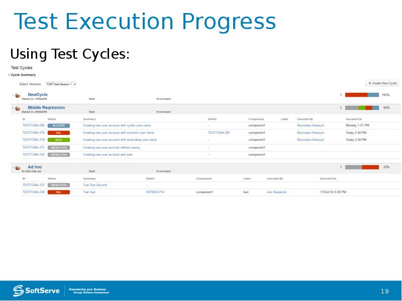 Test Execution Progress