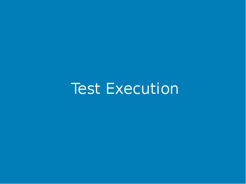 Test Execution