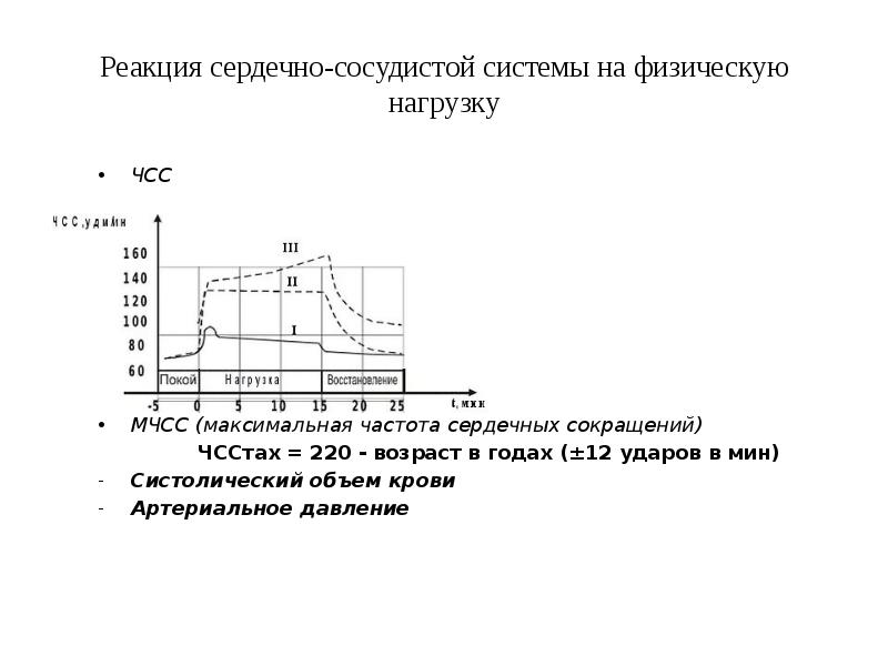 Реакция на физическую нагрузку