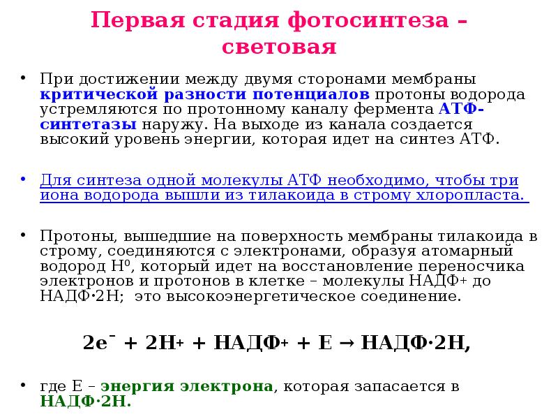 Атф надф в фотосинтезе. Восстановление НАДФ фотосинтез. Восстановление НАДФ происходит при транспорте электронов. Функция НАДФ В фотосинтезе. Передача протонов водорода через мембрану фаза фотосинтеза.