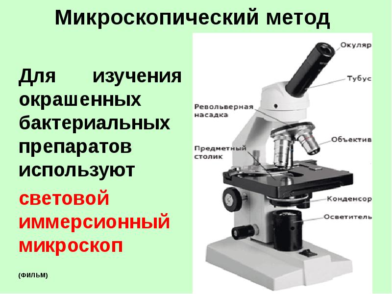 Изображение получаемое с помощью микроскопа является обратным мнимым увеличенным