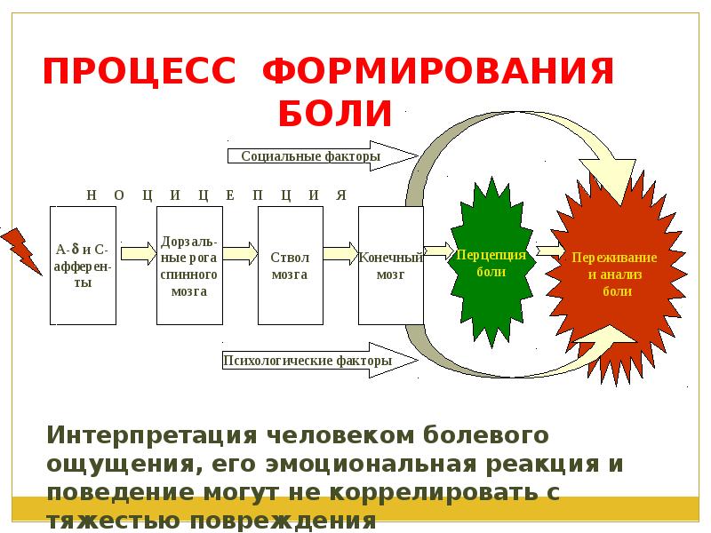 Схема механизмов развития первичной и вторичной гиперальгезии