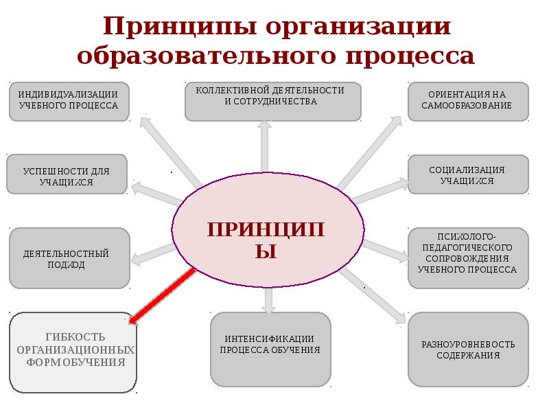 Презентация формы организации учебного процесса