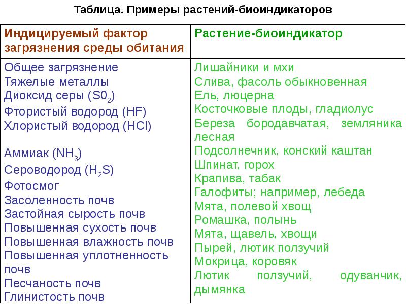 Растения и животные биоиндикаторы презентация