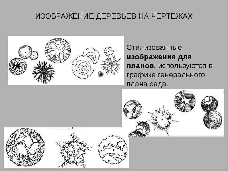 Реферат с рисунками