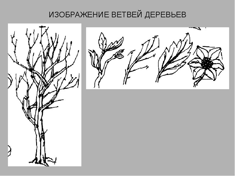 Реферат с рисунками