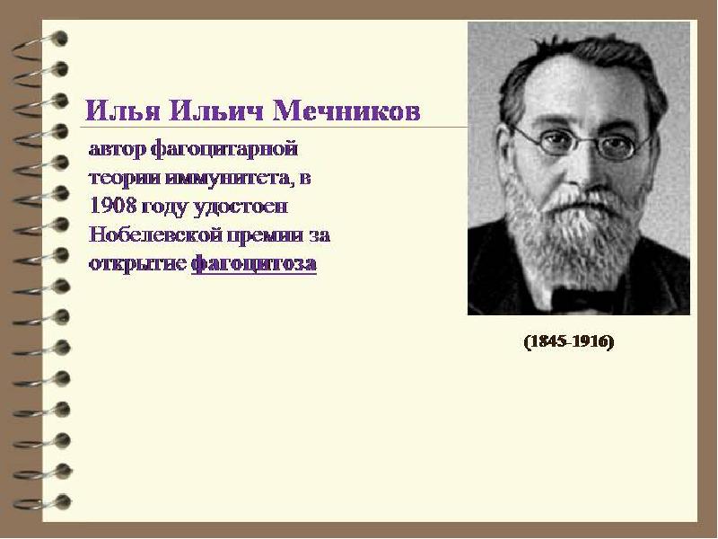 Мечников создал учение о клеточном иммунитете. Нобелевская премия Мечникова 1908.