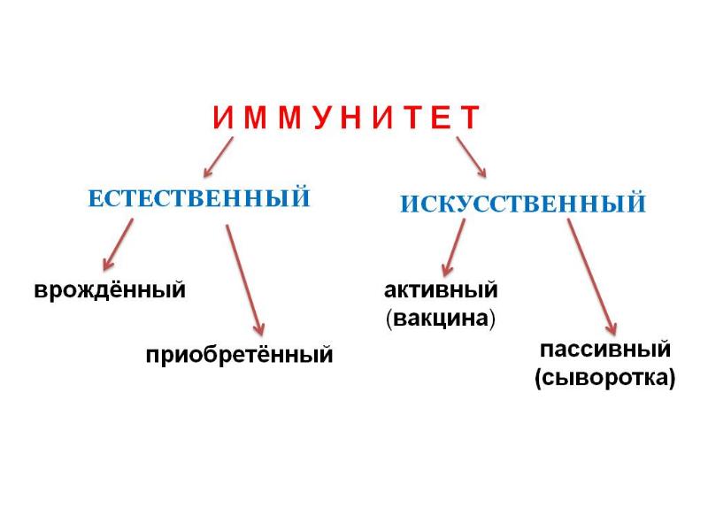 Иммунитет государства презентация