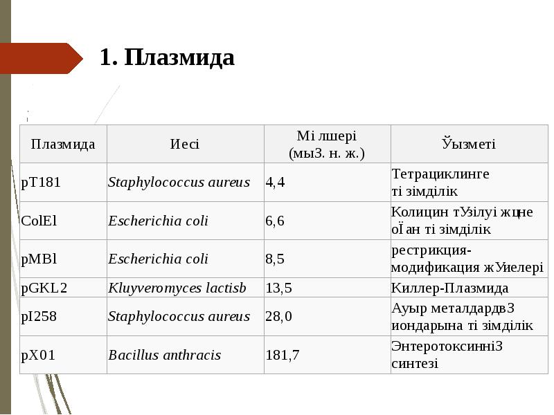 1. Плазмида 1. Плазмида
