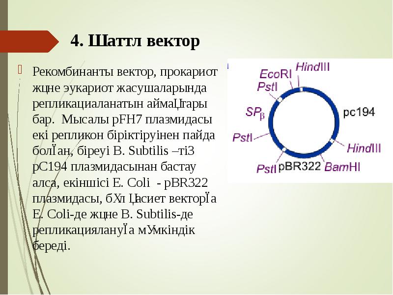 4. Шаттл вектор
Рекомбинанты вектор, прокариот және эукариот жасушаларында репликациаланатын 4. Шаттл вектор
Рекомбинанты вектор, прокариот және эукариот жасушаларында репликациаланатын