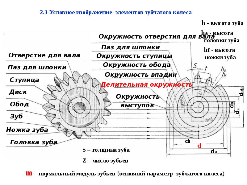 Делительный диаметр зубчатого колеса на чертеже