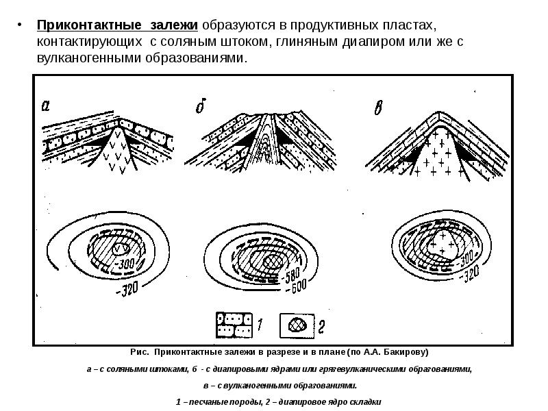 Организм изображенный на рисунке образует отложения