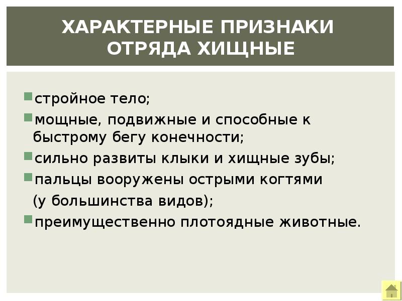 Отряд хищные презентация 7 класс