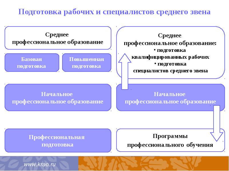 Среднее и среднее специальное разница. Программы среднего профессионального образования. Подготовка специалистов среднего звена. Специалист среднего звена. Подготовка квалифицированных рабочих.