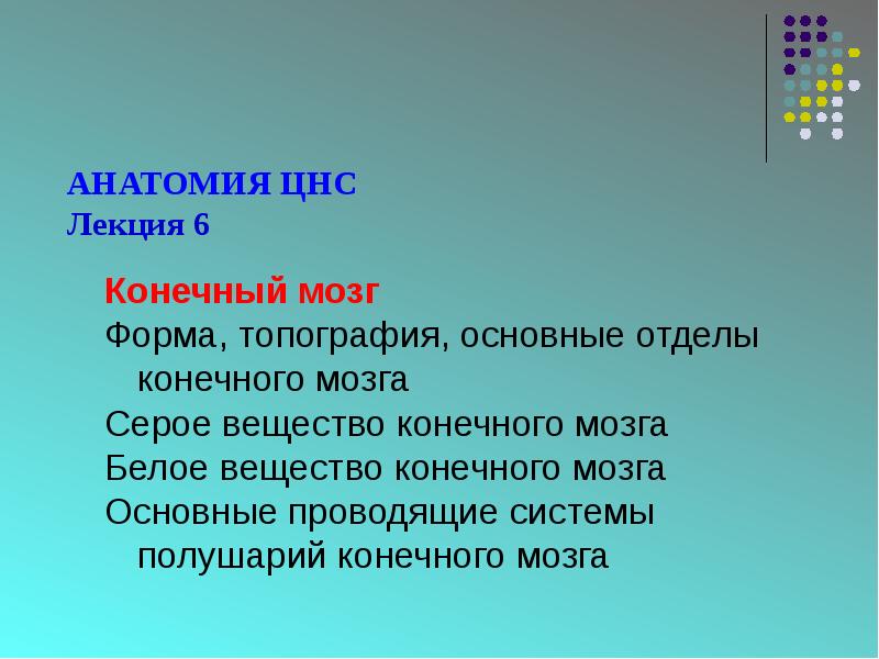 Конечный мозг
Конечный мозг
Форма, топография, основные отделы конечного мозга
Серое Конечный мозг
Конечный мозг
Форма, топография, основные отделы конечного мозга
Серое