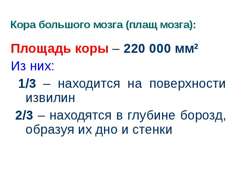 Площадь коры – 220 000 мм2
Из них:
1/3 Площадь коры – 220 000 мм2
Из них:
1/3
