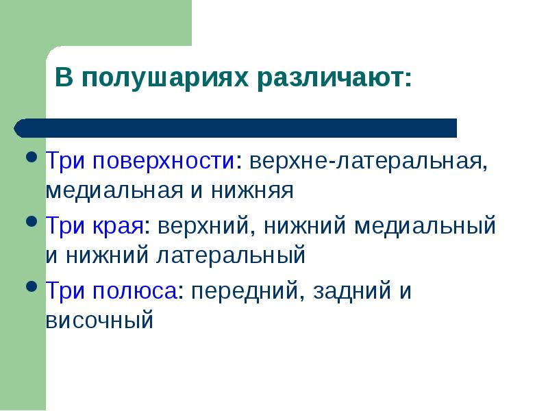 Три поверхности: верхне-латеральная, медиальная и нижняя
Три поверхности: верхне-латеральная, медиальная и Три поверхности: верхне-латеральная, медиальная и нижняя
Три поверхности: верхне-латеральная, медиальная и
