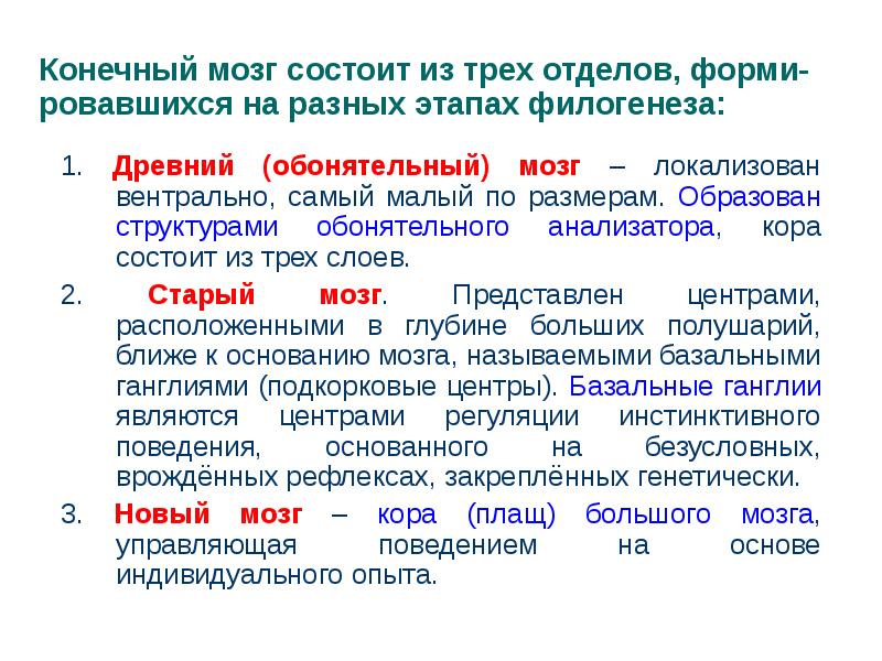 1. Древний (обонятельный) мозг – локализован вентрально, самый малый по размерам. 1. Древний (обонятельный) мозг – локализован вентрально, самый малый по размерам.
