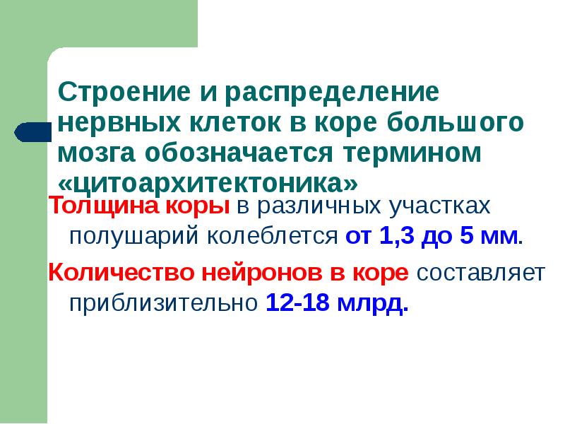 Толщина коры в различных участках полушарий колеблется от 1,3 до 5 Толщина коры в различных участках полушарий колеблется от 1,3 до 5