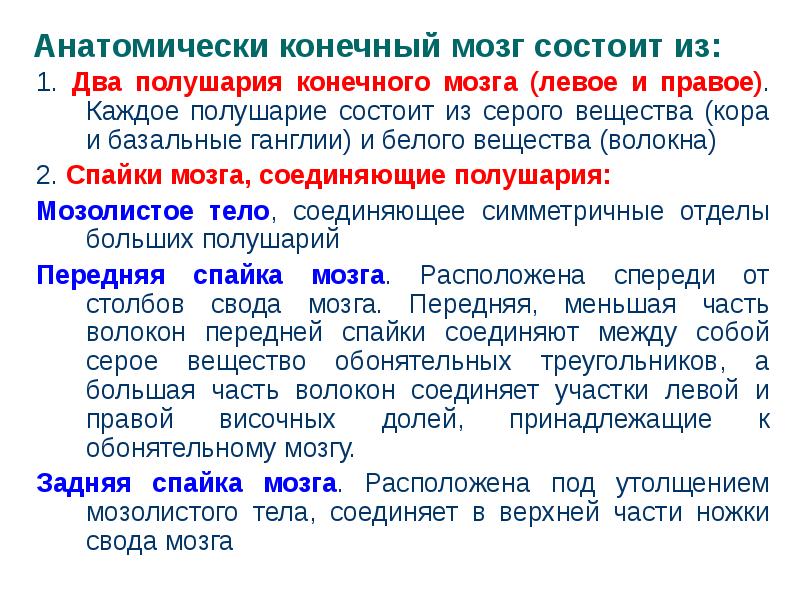 1. Два полушария конечного мозга (левое и правое). Каждое полушарие состоит 1. Два полушария конечного мозга (левое и правое). Каждое полушарие состоит
