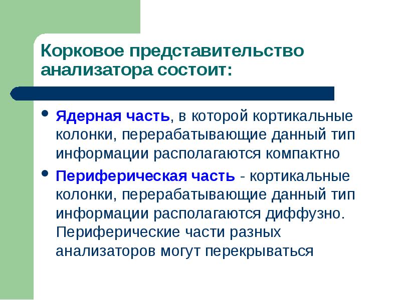 Ядерная часть, в которой кортикальные колонки, перерабатывающие данный тип информации располагаются Ядерная часть, в которой кортикальные колонки, перерабатывающие данный тип информации располагаются