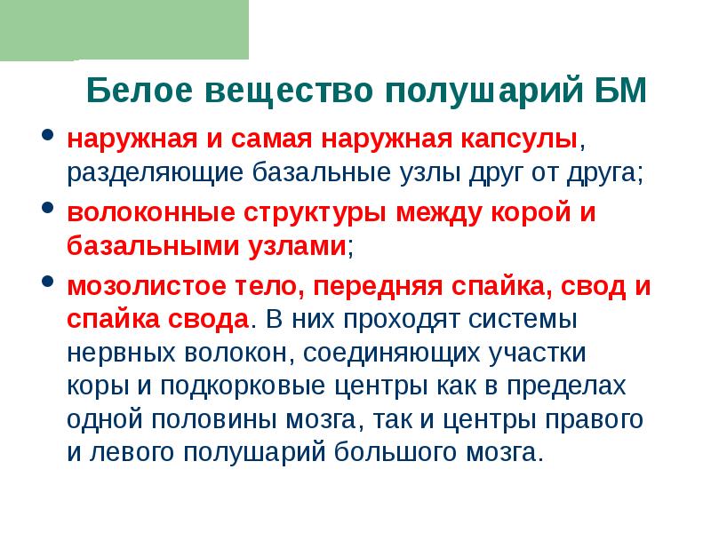 наружная и самая наружная капсулы, разделяющие базальные узлы друг от друга;
наружная и самая наружная капсулы, разделяющие базальные узлы друг от друга;