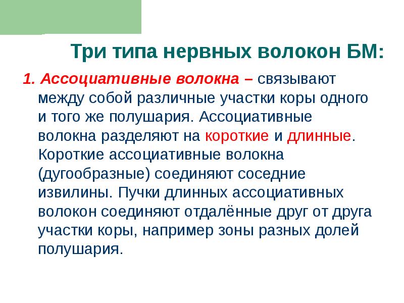 1. Ассоциативные волокна – связывают между собой различные участки коры одного 1. Ассоциативные волокна – связывают между собой различные участки коры одного