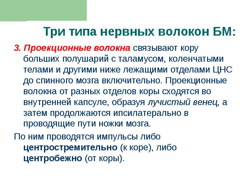 3. Проекционные волокна связывают кору больших полушарий с таламусом, коленчатыми телами 3. Проекционные волокна связывают кору больших полушарий с таламусом, коленчатыми телами