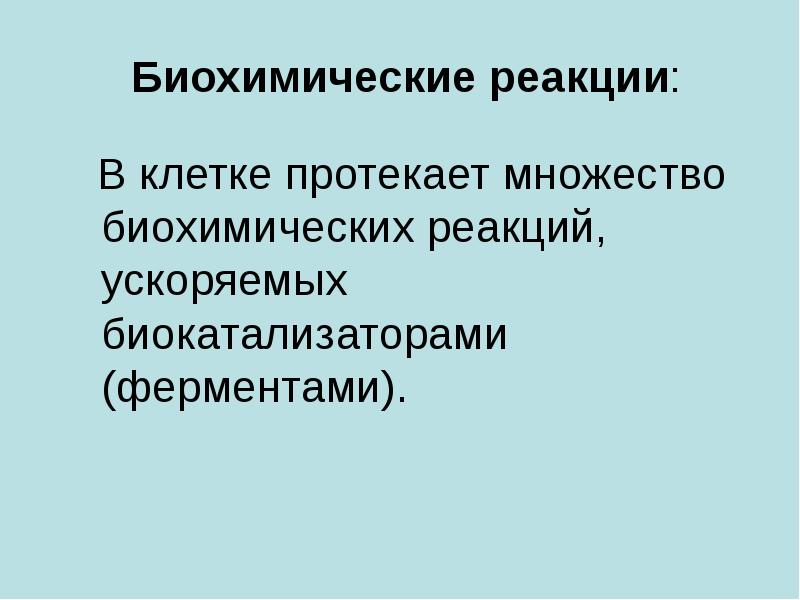 Ускоряет биохимические реакции. Метаболические пути.