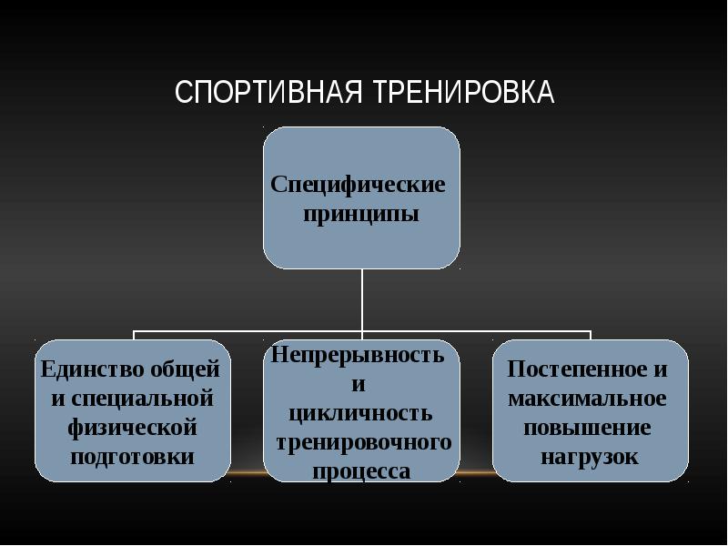 Принципы спортивной тренировки. Основы спортивной тренировки. Физиологические основы спортивной тренировки. Методические принципы спортивной тренировки.