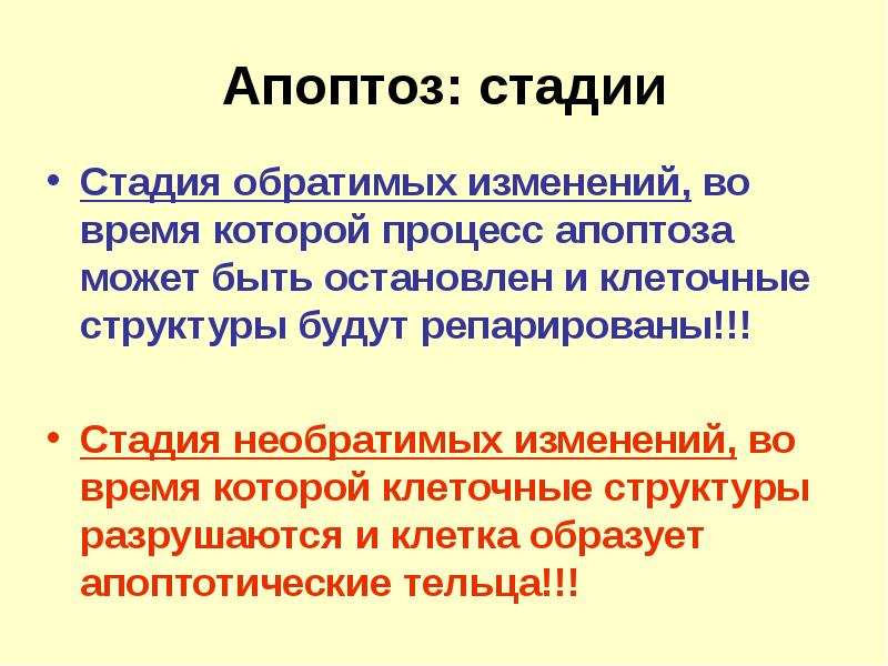 Процесс в котором каждый из. Стадии апоптоза. Типичные патологические процессы. Типический патологический процесс. Воизменение или во изменение.