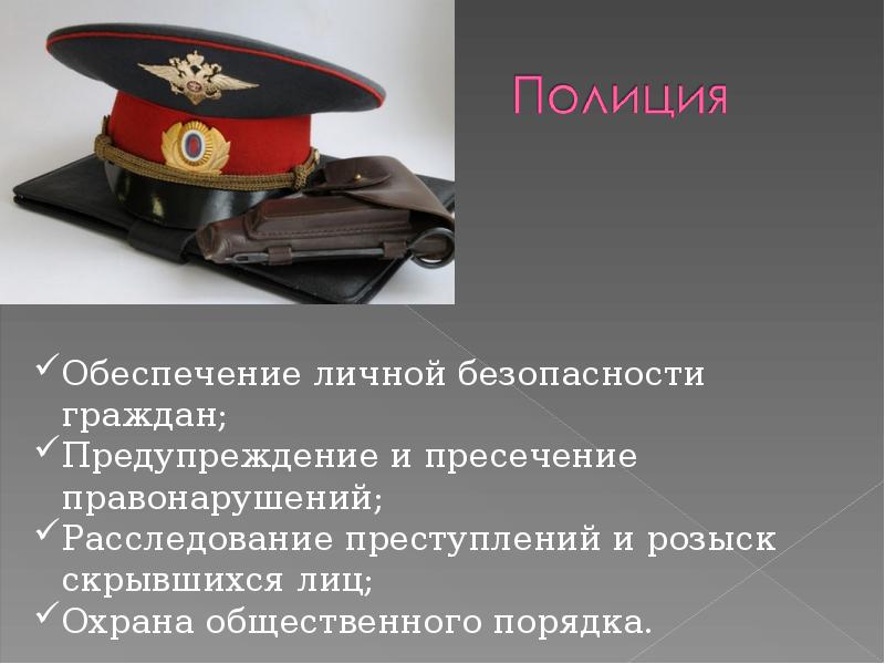 Обеспечение безопасности граждан. Органы общественного порядка. Обеспечение личной безопасности граждан. Органы обеспечения общественного порядка и безопасности. Органы охраны общественного порядка.