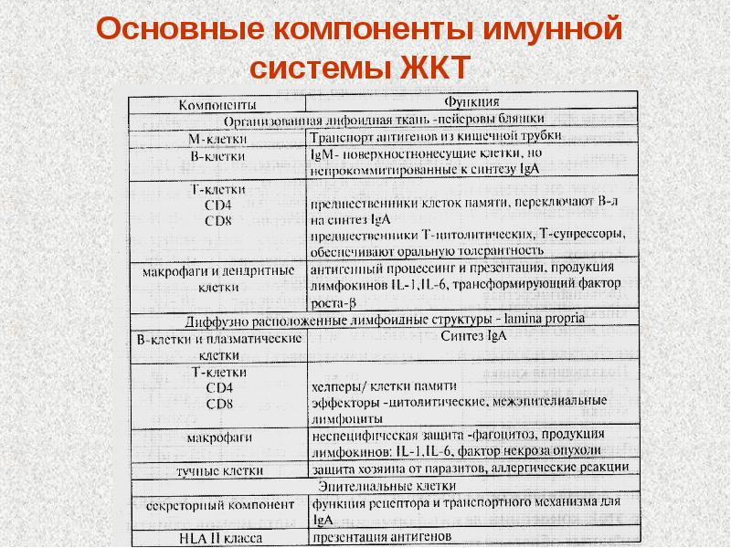 Анатомо физиологические особенности жкт у детей презентация