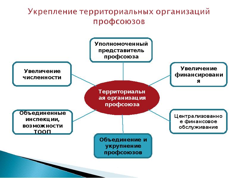 Объединенная профсоюзная организация. Виды профсоюзов. Проблемы профсоюза. Деятельность профсоюзов в России. Схема профсоюза.