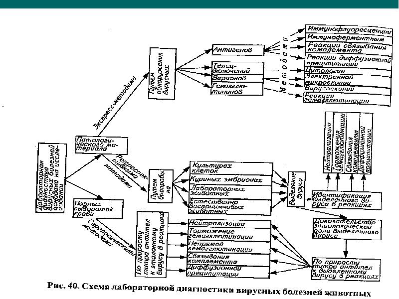 Общая схема лабораторной диагностики инфекционных заболеваний бактериальной этиологии