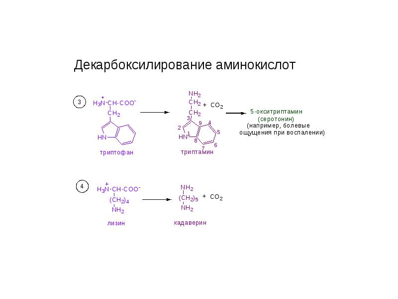 Декарбоксилирование аминокислот презентация