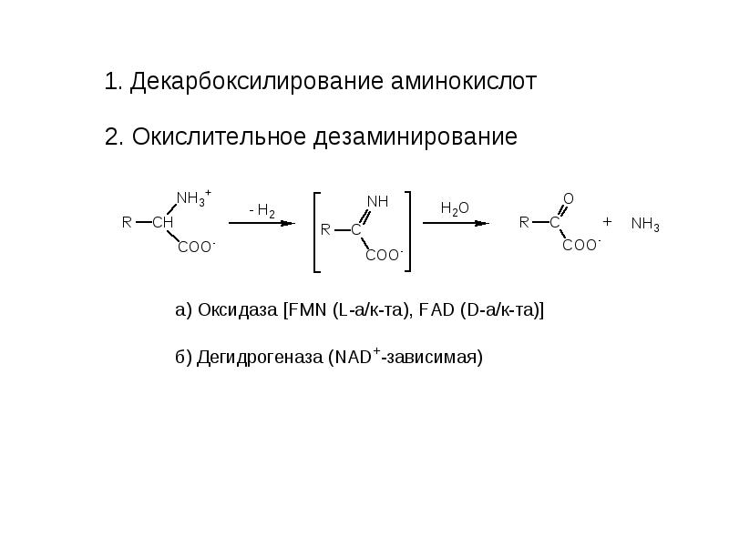 Декарбоксилирование аминокислот презентация