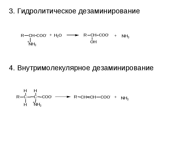 При гидролитическом дезаминировании альфа аминокислот образуется. Гидролитическое дезаминирование аминокислот. Прямое гидролитическое дезаминирование. Гидролитическое дезаминирование аминокислот реакция.