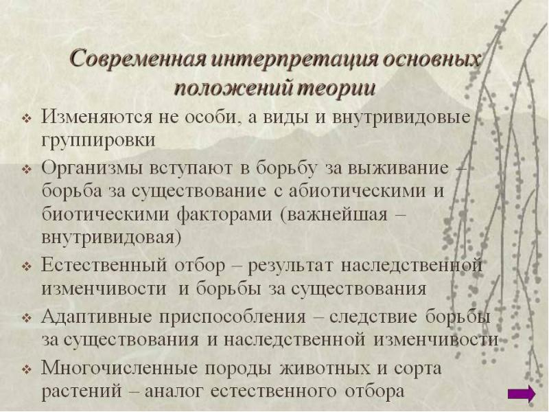 Основная интерпретация. Современная интерпретация. Положения теории группировки. Основные положения теории группировок. Положения теории Дарвина факторы.