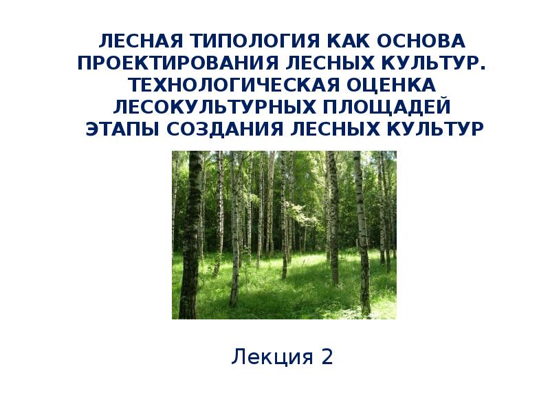 Идем по лесу тип предложения