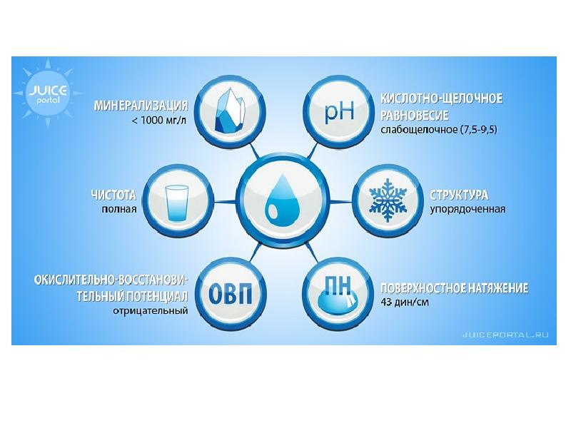 Концепция здоровья коралловый клуб краткая презентация