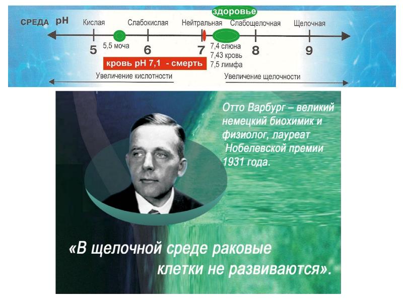 Концепция здоровья коралловый клуб краткая презентация