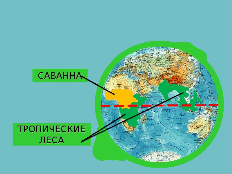 Карта мира по экватору