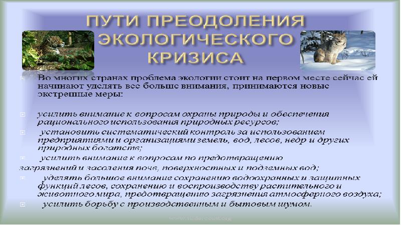 Современные экологические катастрофы презентация