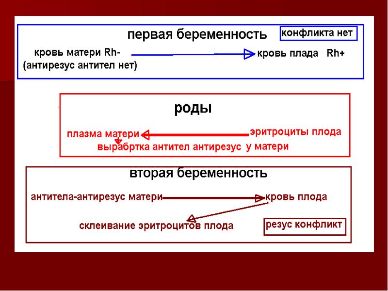 Таблица совместимости для зачатия ребенка