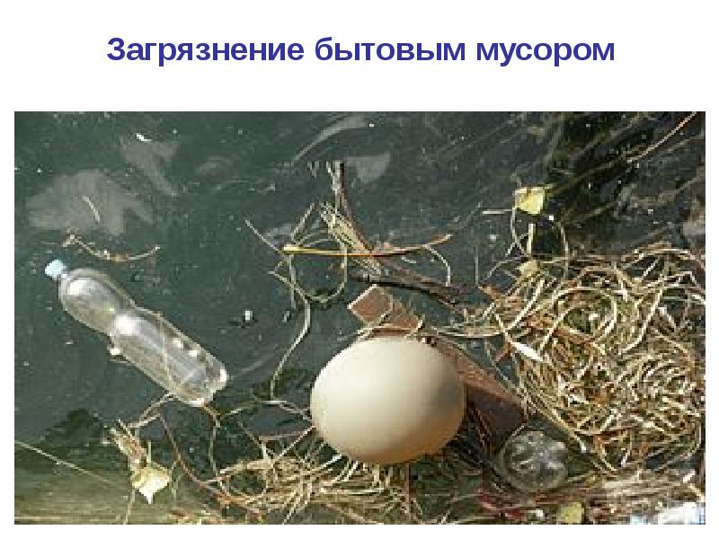 Загрязнение бытовым мусором