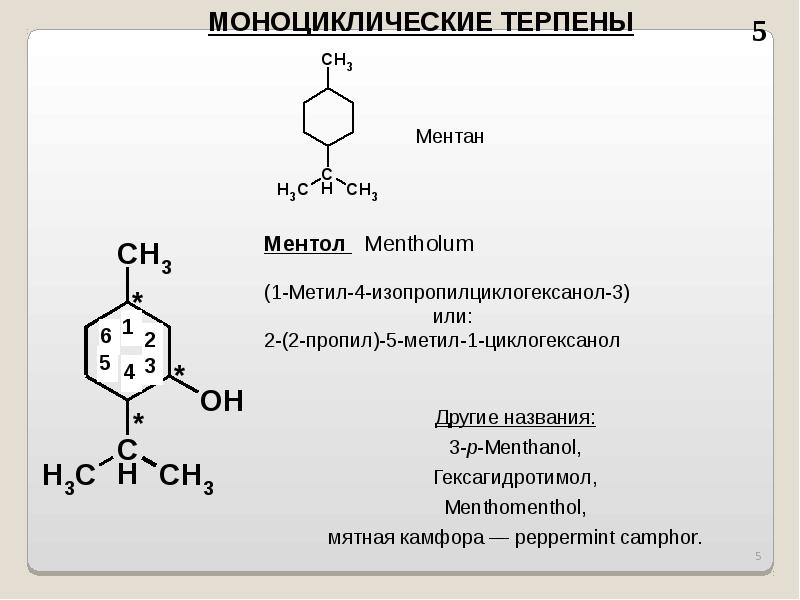 Презентация на тему терпены