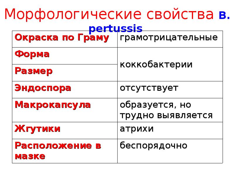 Морфологические свойства. Морфологические свойства это. Морфологические свойства бордетелла пертуссис. Bordetella pertussis морфологические свойства. Морфологические свойства окраска.